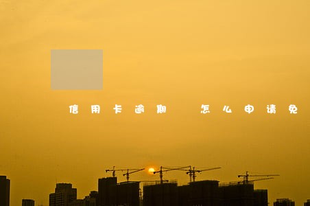 信用卡逾期 怎么申请免息 信用卡逾期 怎么申请免息